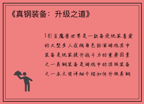 《真钢装备：升级之道》